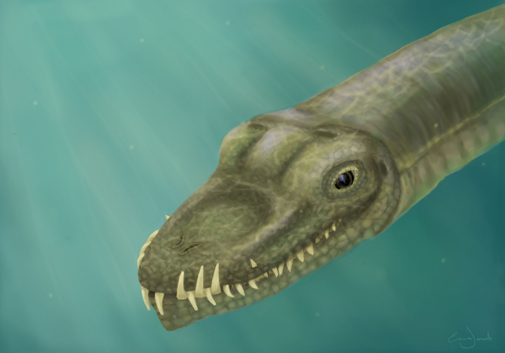 Scientists have unraveled the riddle of a real-life sea monster